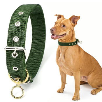 Gasgo dog collar, medium and large dog collar, pet collar, golden retriever satsuma canvas dog collar, single row of holes