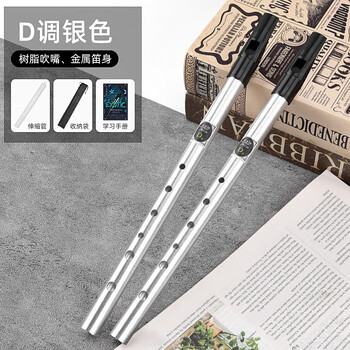 Mann musical instruments irish whistle student playing beginner six-hole recorder d-top recorder tin flute instrument