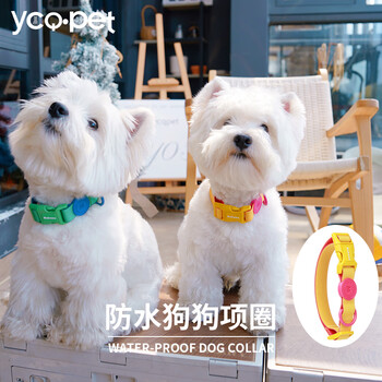 Ycqpet dog waterproof collar dog collar with traction small and medium-sized dog bichon yellow collar y11 yellow m