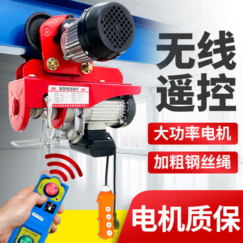 Jinyou conjoined mini electric hoist 220v with sports car gantry crane household small hoist lifting crane wireless remote control pa1000*12 meters electric conjoined