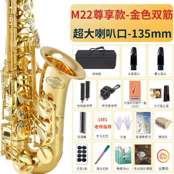 Angel of sound e-flat alto saxophone instrument wind pipe for adult beginners, professional performance examination model recommended by big players m22-gold | upgraded double ribs + double mouthpieces | + teaching