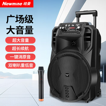 Newman n509 square dance audio mobile home outdoor karaoke bluetooth speaker trolley portable heavy bass large volume super long battery life with microphone 12 inches