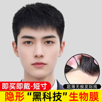 Baisitang men's wig natural full head cover real hair men's wig cover 100% real hair wig boys micro broken cover 8-viscose style 15*20 biological scalp replacement hair piece short hair