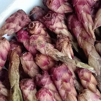 Hongyun 2024 mingqian red bird's mouth new tea chuxiong wuding spring fresh bud bird's mouth tea yunnan 1000g 1kg affordable big bag