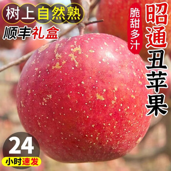Zhichu yunnan zhaotong ugly apples rock candy heart apples alpine crisp sweet apples fresh fruits group purchase new year gift box 5kg large fruit 80mm-85mm recommended by the store manager