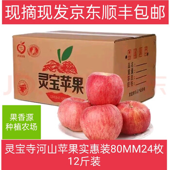 Lingbaosi heshan apple 24 pieces affordable fresh whole box seasonal fresh wholesale red fuji fruit 80 mm 24 pieces with box about 12 pounds