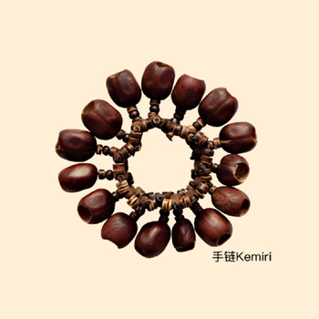 Fanmu guo & derui terre nutshell rattle african ethnic minor instrument plant fruit bracelet anklet sound healing bracelet kemiri