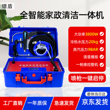 Pradum high temperature and high pressure steam cleaning machine professional cleaning home appliances air conditioning range hood housekeeping service commercial all-in-one machine 20kg high pressure hot and cold water steam pulse ozone gift package