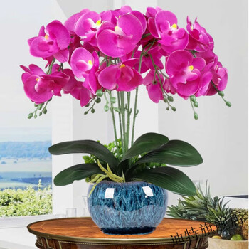 Phalaenopsis artificial flower set fake flower potted indoor living room silk flower plastic flower entrance tv cabinet decoration bonsai large leaf purple + peacock orchid ceramic flower pot