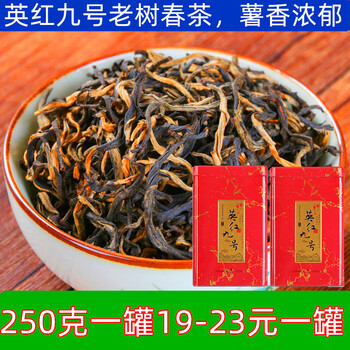 Yinghong no. 9 tea spring tea yinghong no. 9 strong flavor wholesale potato strong flavor canned new tea high mountain old tree tea random delivery