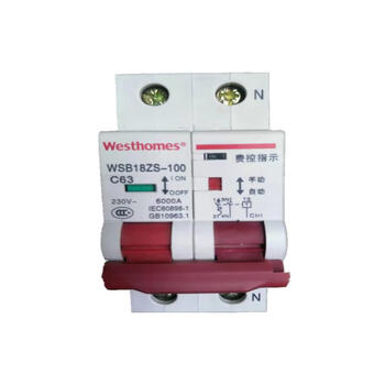 Zhejiang westinghouse semi-automatic reclosing switch wsb18zs-1002p 80a prepaid grid-connected switch 63a 2p