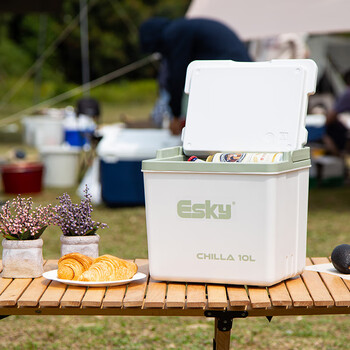 Eski ice brick insulated box car refrigerator refrigerated camping mini refrigerator with ice brick outdoor trunk portable box 10l cedar green with 1 ice brick