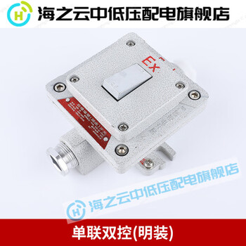 Explosion-proof wall switch lighting hidden socket type 86 10a single switch industrial control 220v factory rv single connection dual control (exposed)