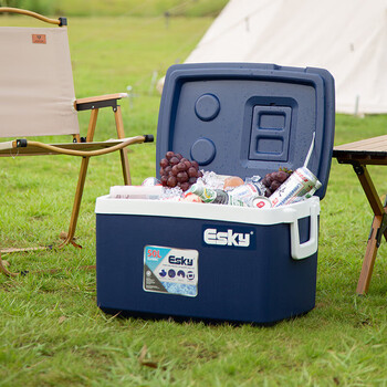 Eski car-mounted insulated box 50l large-capacity outdoor insulated box commercial refrigerated take-out canteen food delivery box 50l-pu material (with ice bricks 2)