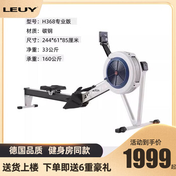 Leuy double resistance wind resistance rowing machine home fitness folding sports equipment aerobic commercial rowing ergometer rowing machine h368 professional model-white-stainless steel guide rail