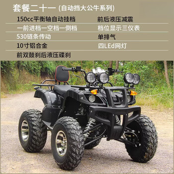Septi atv four-wheel off-road motorcycle all-terrain fuel mountain adult four-wheel drive motorcycle two-person sand atv package twenty-one automatic version big bull