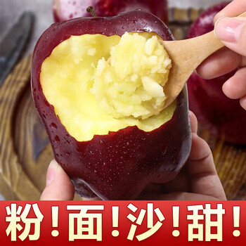 Authentic gansu tianshui huaniu apple flour noodles, sand sweet, old people, babies, pregnant women, fresh seasonal snake red fruits whole box, flour noodles huaniu net weight: 8.5 jin, medium fruits (20-23 pcs)