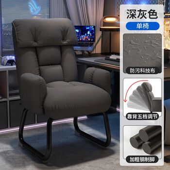 Insdea computer chair, home with bowed legs, comfortable and sedentary, boys' game e-sports chair with backrest and reclining dormitory lazy sofa chair, dark gray, classic, technology cloth, steel feet, fixed armrests