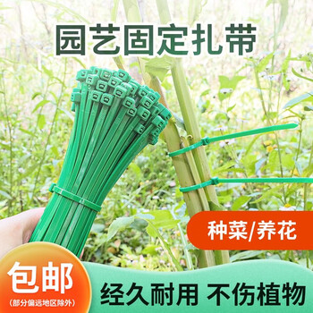 Craftsman's tree branch straps gardening nylon cable ties strapping line green plant climbing vine plant flower stand strap flower holder 100 pieces long 10 cm wide 2.5 mm