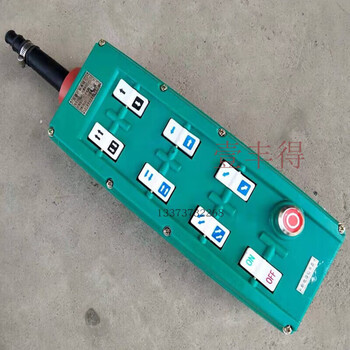 Customized explosion-proof electric hoist handle switch bak21 bak31 bak41 qidong new dawn explosion-proof bak71