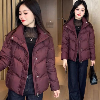 Playboy (playboy) brand jiujiang down jacket women's 2025 autumn and winter new style small warm stand-up collar casual thickened jacket purple stand-up collar m recommendation 80-105
