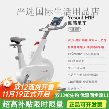 Yesoul zhilian game self-guided electric cycling home sports exercise bike indoor equipment silent zhilian game competition m1p丨standard edition丨