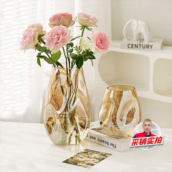 Fan ye's light luxury irregular vase high-end decoration living room flower arrangement glass transparent water rose flowers niche simple