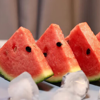 1 small watermelon ripe on the vine, hanging seedlings 1.5kg