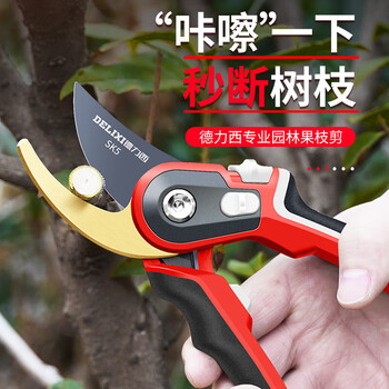 Delixi fruit tree shears, pruning scissors, garden flower pruners, branch scissors, thick flower shears, gardening scissors tools, golden ares, imported sk5 steel + free lanyard