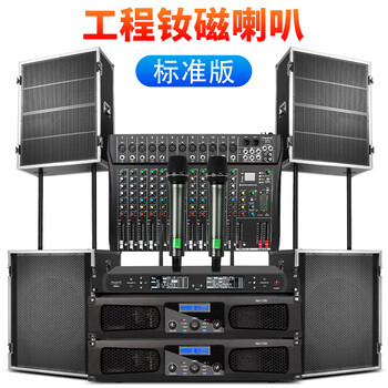 Depusheng ls8 professional stage speakers dual 8-inch line array remote outdoor audio set large performance bar wedding high-power subwoofer full frequency flight case dual 15-inch standard line array set