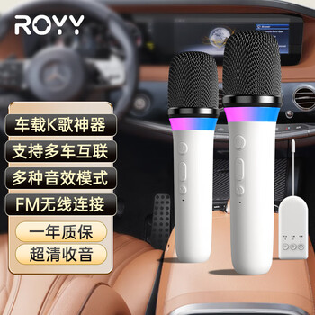 Royy high-quality car karaoke microphone supports fm connection car wireless car mobile ktv singing microphone white double microphone