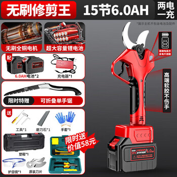 Delixi electric household electric pruning shears lithium-ion scissors hand-held fruit branch shears rechargeable scissors outdoor portable gardening pruning king 15 sections 2 electric + hand saw