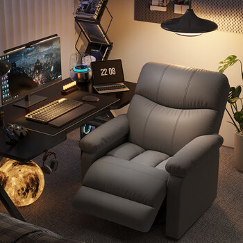 Insdea gaming sofa chair home lazy computer chair space sofa cabin multifunctional first class internet cafe sofa leisure reclining dark gray cat claw leather backrest adjustment + footrest adjustment steel feet fixed armrests