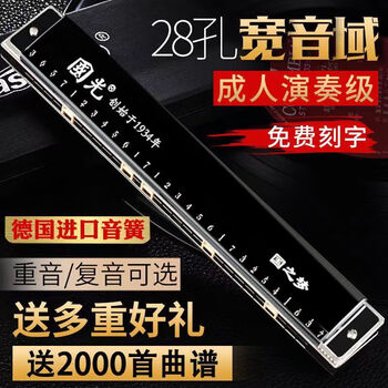 Guoguang german imported gong harmonica professional performance level 28-hole accent polyphonic c key for beginners 28-hole c key black accent performance grade