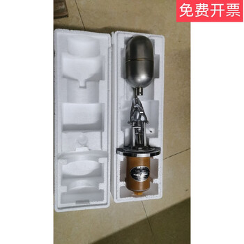 Medical steam generator zfq float switch