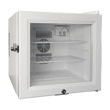 Kindergarten food sample cabinet, canteen kitchen special display cabinet, extra large lockable refrigerated room small refrigerator, 20 liter white glass door double lock