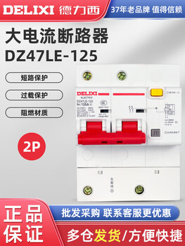 Delixi high current leakage circuit breaker 2p 80a100a 125a leakage protection dz47le-125 single and double phase 100a 2p