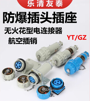 Explosion-proof plug aviation plug socket single three-phase four-five pole 380v non-sparking connector 32a single-phase three-pole-3 core x plug bj-yt-j