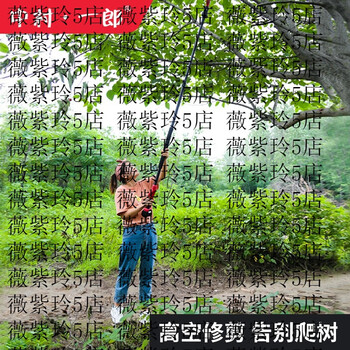 Nakamura ichiro electric high branch shears telescopic fruit tree thick branch shears high power rechargeable garden pruning shears electric agricultural tools 4 cm high branch shears set scissor pole