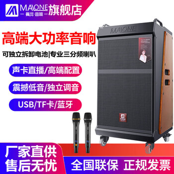 Malone ultra-high-power singing series high-end outdoor square dance audio high-power wireless microphone with sound card bluetooth professional live broadcast singing karaoke performance stage speaker m-8715 dual microphone + v9 karaoke machine + gift package