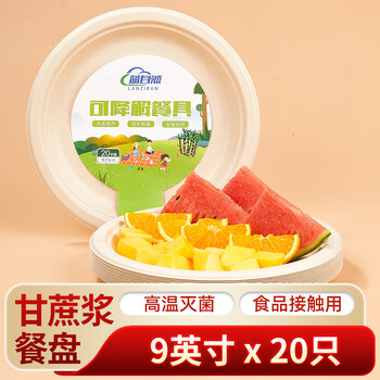 Blue natural disposable tableware plates large 9 inches * 20 natural sugar cane pulp biodegradable paper plates picnic camping