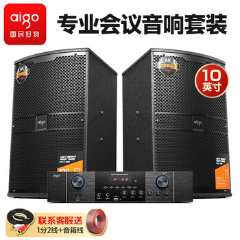 Patriot conference room audio set 10-inch small and medium-sized home ktv background training special stage gym speaker wall-mounted speaker