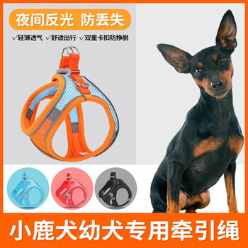 Special traction rope for fawn puppies, dog walking rope, ultra-small dog, small dog, puppy chest and back dog rope, dog supplies, strap integrated traction rope, color matching orange, xs code, recommended 3-9 pounds