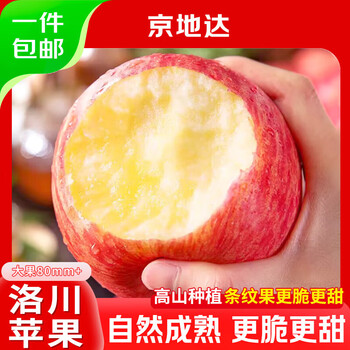 Jingdi dalochuan apple fruit shaanxi red fuji festival gift net weight 8.5 jin single fruit 80mm direct shipping from source