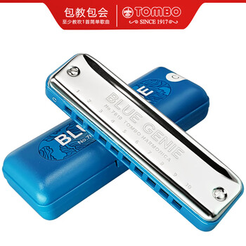 Tongbao 10-hole blues harmonica for beginners, adult students, irish paddy tuned ten-hole harmonica 7610 10-hole-7610 blues a key-paddy scale