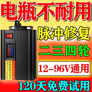 Bull electric vehicle battery repairer for two and three-wheel electric vehicles activated battery universal pulse repair battery automatic power off