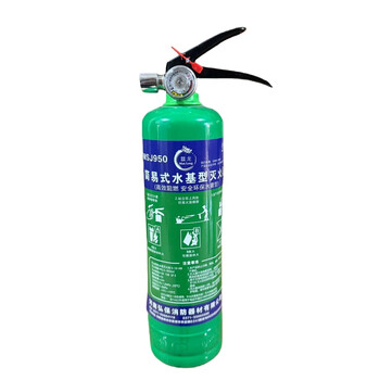 Dragon car fire extinguisher msj950 fire extinguisher