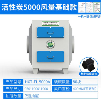 Activated carbon environmentally friendly adsorption box exhaust gas treatment equipment integrated pp deodorization two-stage dry filter purification 5000 air volume basic model