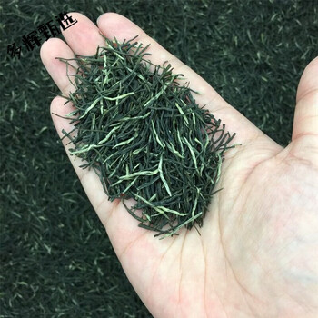 Wei ting 23 new tea xinyang maojian green tea mingqian high mountain tea young buds cloud tea strong fragrance handmade maojian tea 500g or 1kg