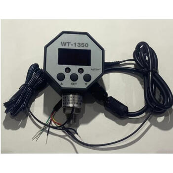 European pressure gauge octagonal digital display 1hkn3